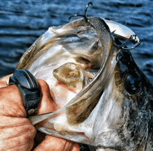 Load image into Gallery viewer, Shark Bundle: Line Cutterz Ring (as seen on shark tank) + The Knot Kneedle® EPIC + Lite
